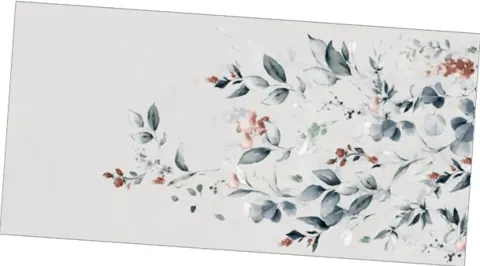 OLP 3056 DECOR — OLP 3056 DECOR