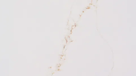 Paradigm MOGGO GOLD Quartz — OS-PQ-195