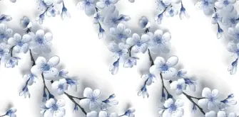OMT 3D 55 — OMT 3D 55