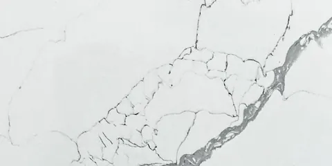 Paradigm CALACATTA FROST Quartz — OS-PQ-013
