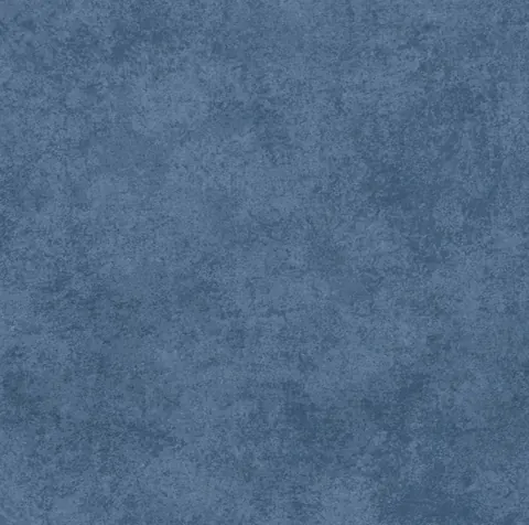 OTH COPOS BLUE — OTH COPOS BLUE