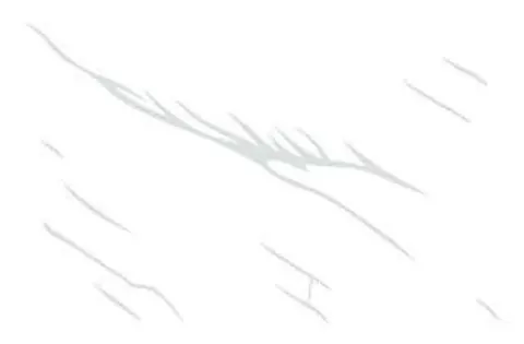 OTH 7662 — OTH 7662