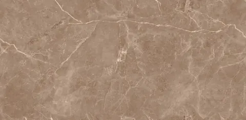 OMT LIVER POOL BROWN END — OMT LIVER POOL BROWN END