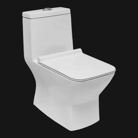 Element One Piece Toilet — OS-SW-997