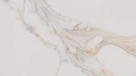 Paradigm FOSSIL Quartz — OS-PQ-188