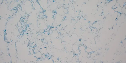 Paradigm BLUE CARARA Quartz — OS-PQ-029