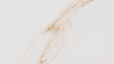 Paradigm APACHE GOLD Quartz — OS-PQ-173