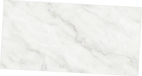 OLP CONT ALBETA SILVER — OLP CONT ALBETA SILVER