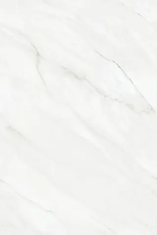 OMT ELITE — OMT ELITE