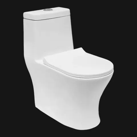 Liva One Piece Toilet — OS-SW-982