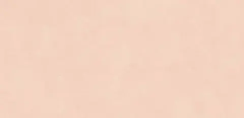 OMT CHROMATIC PINK — OMT CHROMATIC PINK