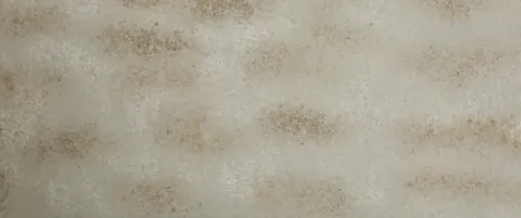 Paradigm AURIC GOLD Quartz — OS-PQ-085