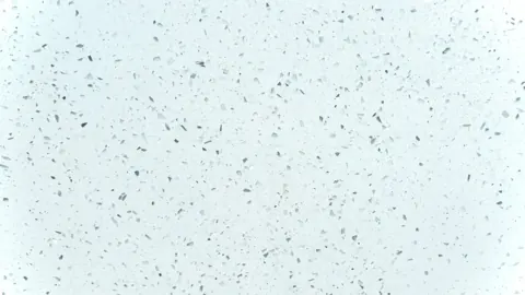 STAR WHITE Quartz — OS-QC-001