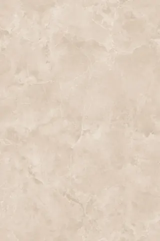 OMT FIORE EARTH — OMT FIORE EARTH