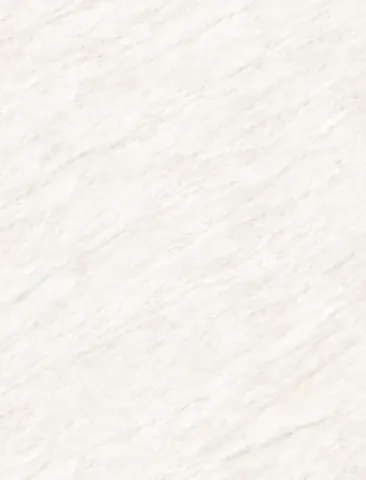 OMT HERCULES WHITE — OMT HERCULES WHITE