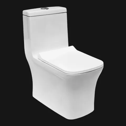 Slop One Piece Toilet — OS-SW-964
