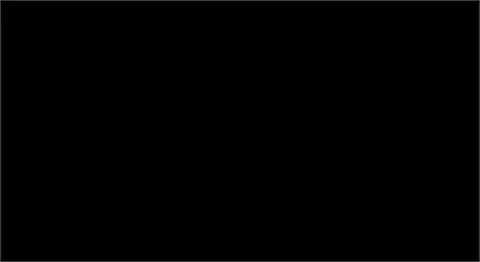 Paradigm PURE BLACK Quartz — OS-PQ-146