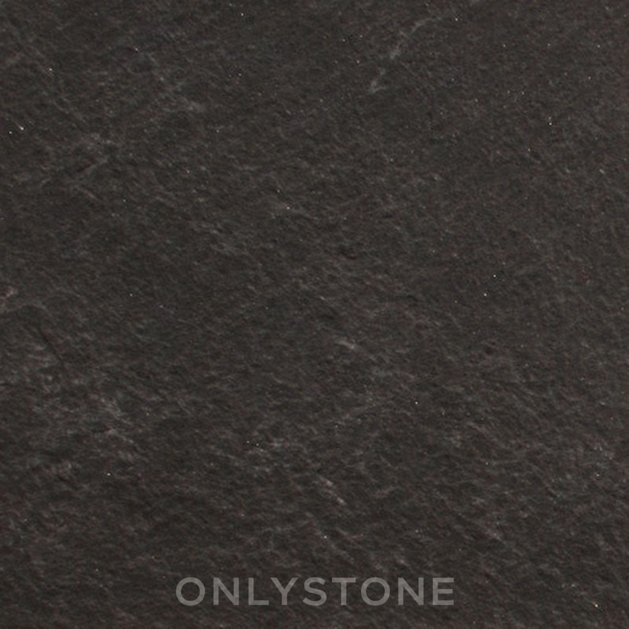 Himachal Black Slate — OS-NSF-018 Slate Flooring