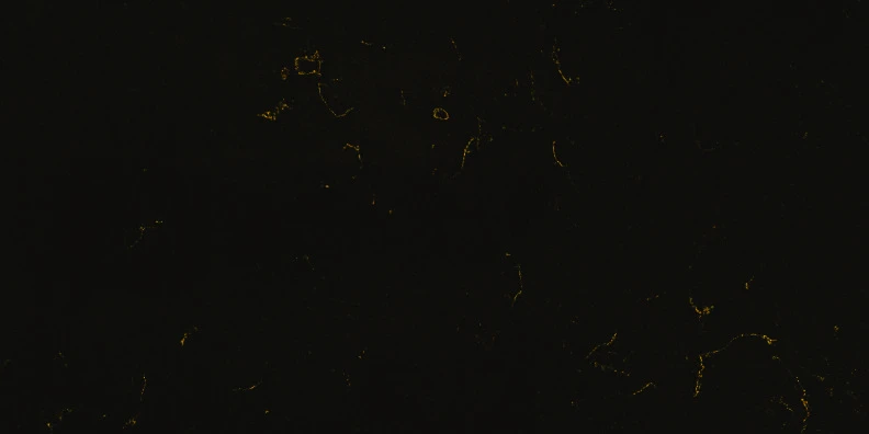 Paradigm CARRARA GOLDEN SHOWER Quartz — OS-PQ-033 Quartz Jumbo
