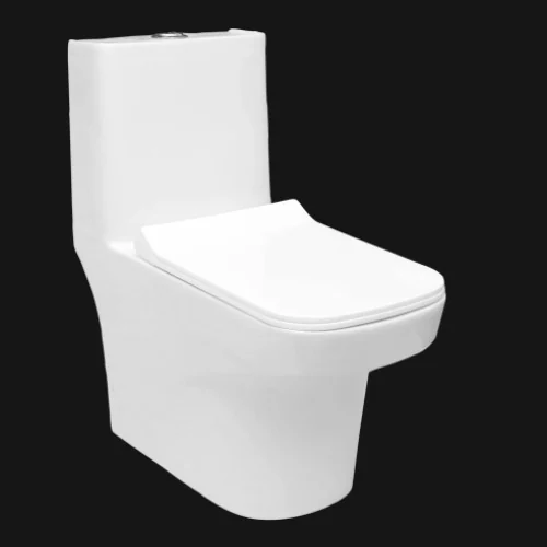 Bravet One Piece Toilet — OS-SW-989 One Piece Toilets