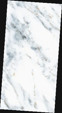 OLP 9075 — OLP 9075, view 5