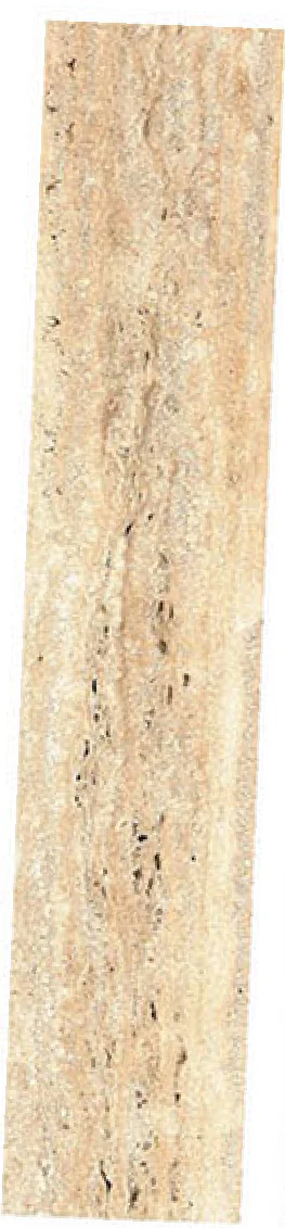 OLP A018 · Sandy Beige — OLP A018, view 4