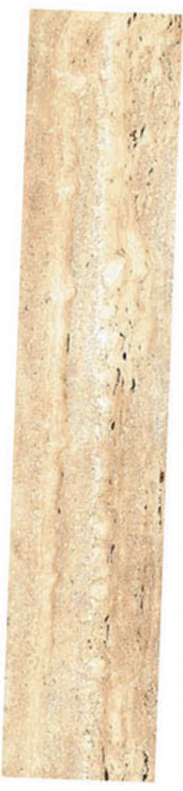 OLP A018 · Sandy Beige — OLP A018 Floor Tiles