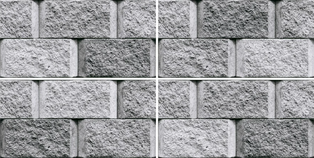 OMJ SHIMLA-501 — OMJ SHIMLA-501 Elevation Tiles