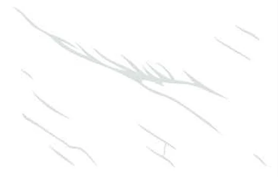 OMT 7662 — OMT 7662 Wall Tiles