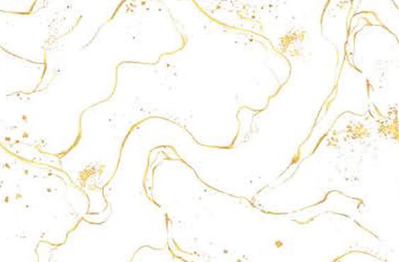 OTH 6505 — OTH 6505 Wall Tiles